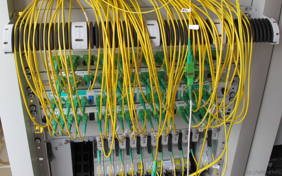 Baie de répartition de fibre optique avec des dizaines de jarretières jaunes branchées sur des coupleurs verts