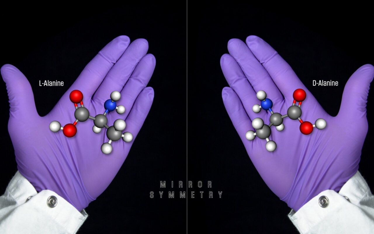 Deux mains gantées de violet présentent chacune un modèle de la molécule d'alanine, images l'une de l'autre dans un miroir