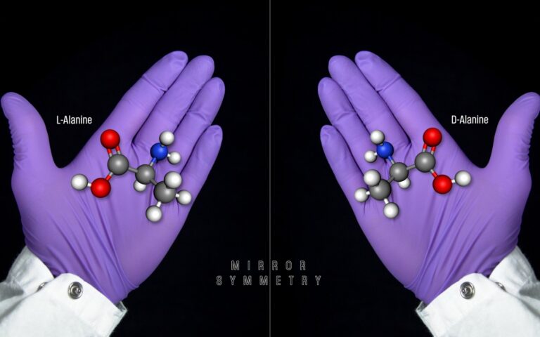 Deux mains gantées de violet présentent chacune un modèle de la molécule d'alanine, images l'une de l'autre dans un miroir