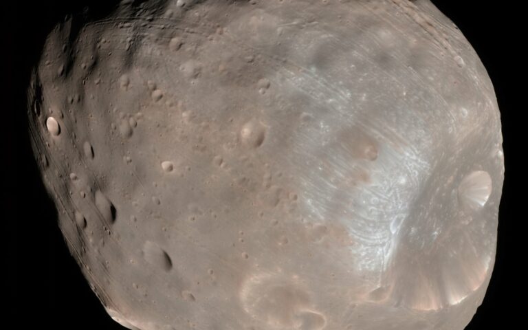 Phobos, lune de Mars grise et irrégulière, criblée de cratères, photographiée de près.