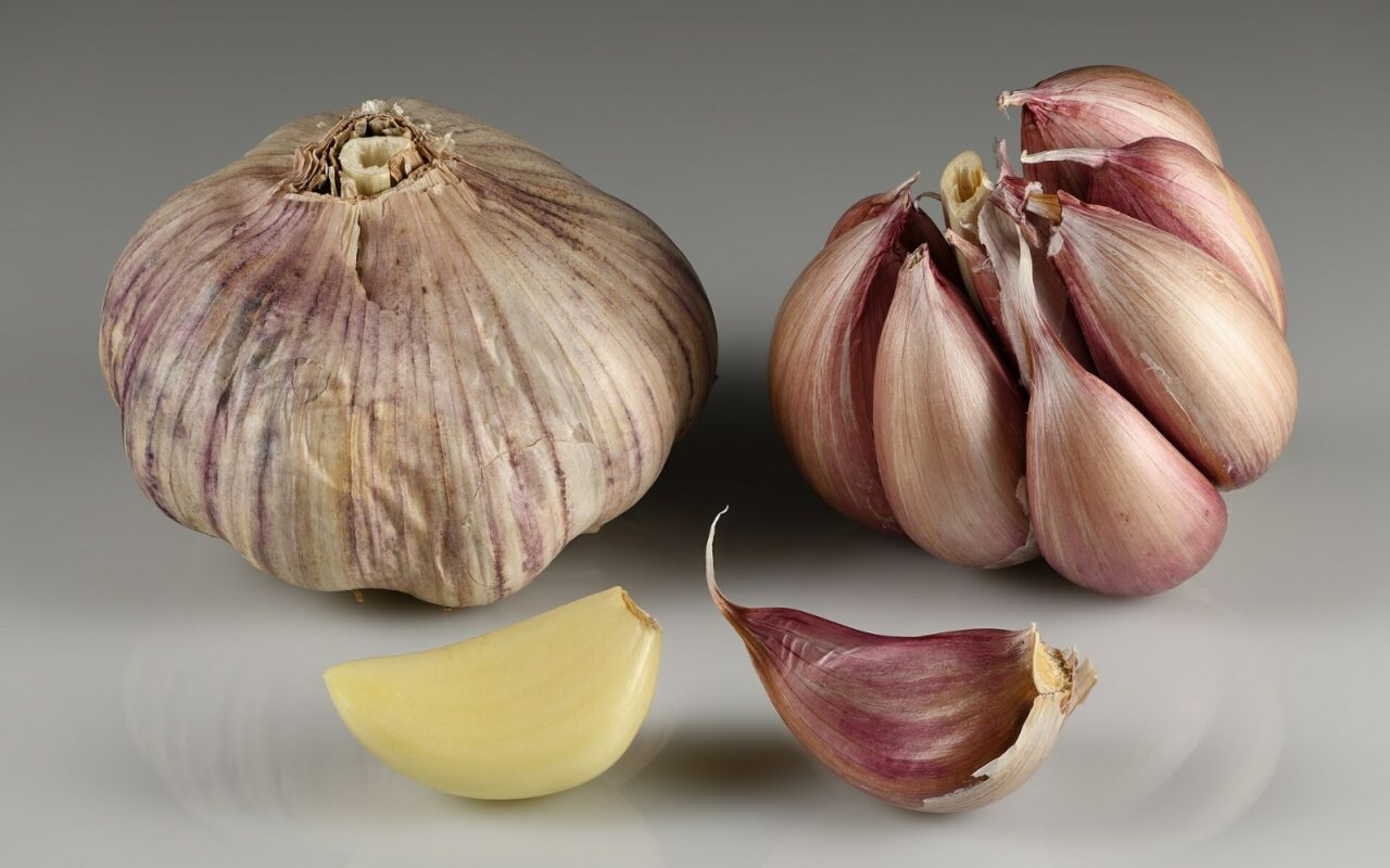 Deux têtes d'ail rose dans leur pelure, avec deux gousses dont une épluchée